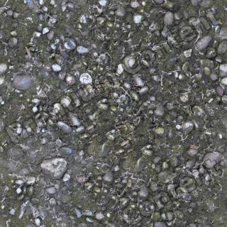 High Resolution Seamless Concrete Texture 0003